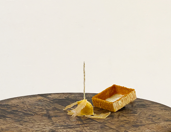 To preserve apostolical consumption by Leonardo Dal Colle