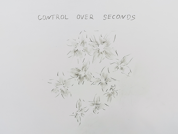 Untitled by Liwia Dekert